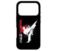 Taekwondo Martial Arts Case for iPhone 17 Pro