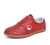 Taekwondo Shoes, Breathable Martial Arts Sneakers, Sport Boxing Kung Fu TaiChi Lightweight Shoes for Adults and Children (Color : Red, Size : 40)