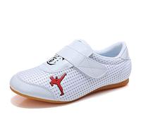Taekwondo Shoes, PU Leather Taekwondo Boxing Shoes Gym Martial Arts Shoes for Adult (Color : White, Size : 35)