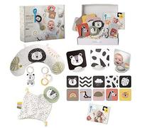 Taf Toys Newborn Gift Set. 12 Piece Baby Sensory Box Includes Tummy-Time Pillow, Flash Cards, Baby-Safe Mirror, Lion Cub And