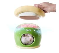 tafit Ceramic Igloo Hamster Hideout - Small Animal Habitat Decor Hut for Syrian & Dwarf Hamsters, Gerbils, Mice, Rats - Home House with Ice Box (Green)