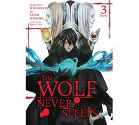 The Wolf Never Sleeps, Vol. 3: (WOLF NEVER SLEEPS GN)