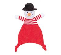 Tagalong Ball Dog Toy