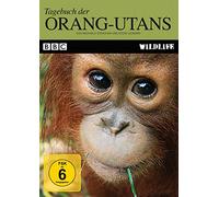 Tagebuch der Orang-Utans: BBC Wildlife