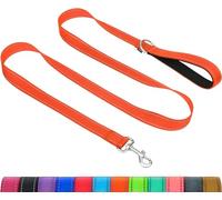 Taglory Dog Leads for Medium Large Dogs | Double Sided Reflective | Soft Neoprene Padded Handle | 2.5 cm Wide by 180 cm Long | Orange