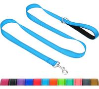 Taglory Dog Leads for Medium Large Dogs | Double Sided Reflective | Soft Neoprene Padded Handle | 2.5 cm Wide by 120 cm Long | Sky Blue