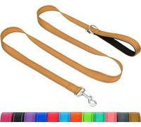 Taglory Dog Leads for Small Medium Dogs | Double Sided Reflective | Soft Neoprene Padded Handle | 2 cm Wide by 120 cm Long | Tan
