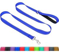 Taglory Dog Leads for Small Medium Dogs | Double Sided Reflective | Soft Neoprene Padded Handle | 2 cm Wide by 120 cm Long | Navy Blue