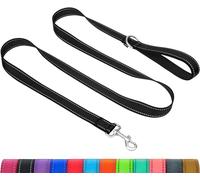 Taglory Dog Leads for Small Medium Dogs | Double Sided Reflective | Soft Neoprene Padded Handle | 2 cm Wide by 120 cm Long | Black