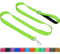 Taglory Dog Leads for Small Medium Dogs | Double Sided Reflective | Soft Neoprene Padded Handle | 2 cm Wide by 120 cm Long | Neon Green