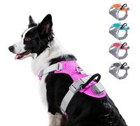 Taglory LED Dog Harness with AirTag Holder, No Pull Light Up Dog Vest for Night Walking, USB Rechargeable Pet Safety Harness with 2 Metal Clips, Adjustable Soft Vest for Medium Dogs (Pink, M)