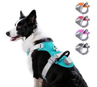 Taglory LED Dog Harness with AirTag Holder, No Pull Light Up Dog Vest for Night Walking, USB Rechargeable Pet Safety Harness with 2 Metal Clips, Adjustable Soft Vest for Large Dogs (Bright Teal, L)