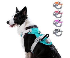 Taglory LED Dog Harness with AirTag Holder, No Pull Light Up Dog Vest for Night Walking, USB Rechargeable Pet Safety Harness with 2 Metal Clips, Adjustable Soft Vest for Large Dogs (Bright Teal, L)