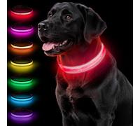 Taglory Light Up Dog Collar for Night Walking, LED Rechargeable, Light Pink | Highly Visible From a Distance, Long-Lasting Battery, 7 Colours, 3 Flash Modes, Safer in the Garden, Reflective in Headlights
