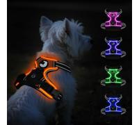 Taglory Light Up Dog Harness, Rechargeable No Pull Dog Vest with 3 Lighting Modes, Reflective Dog Harness with 2 Leash Clips & 4 Adjustable Slide Strips for Small Dogs, Orange-Orange, S