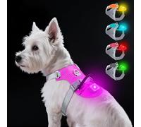 Taglory Light Up Dog Harness with Airtag Holder, No Pull LED Dog Harness Rechargeable with 4 Lighting Modes for Night Walking, Adjustable Waterproof Lighted Pet Vest for Small Dogs (Bright Pink, XS)