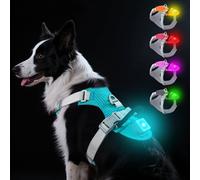 Taglory Light Up Dog Harness with Airtag Holder, No Pull LED Dog Harness Rechargeable with 4 Lighting Modes for Night Walking, Adjustable Waterproof Pet Safety Vest for Large Dogs (Bright Teal, L)