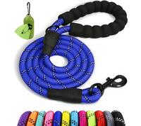 Taglory Rope Dog Lead with Soft Padded Handle - Reflective Rock Climbing Rope Lead for Medium and Large Dogs 120 cm 1.2 cm Royal Blue