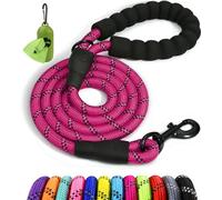 Taglory Rope Dog Lead with Soft Padded Handle - Reflective Rock Climbing Rope Lead for Small and Medium Dogs 150 cm 1.0 cm Hot Pink