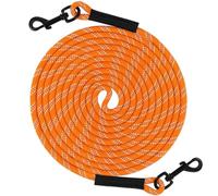 Taglory Training Lead for Dogs 5 m, Reflective Long Rope Tie Out, for Small Medium Large Dogs, Orange
