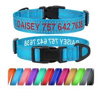 TagME Dog Collar with Name and Phone Number, Personalised Embroidered Nylon Pet Collars for Small Dogs, Sky Blue