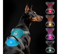TagME Light Up Dog Harness with Airtag Holder, No Pull Rechargeable LED Dog Harness, 4 Lighting Modes for Night Safety Walking, Adjustable Slide Strips for Extra Large Pets, Teal