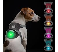 TagME Light Up Dog Harness with Airtag Holder, No Pull Rechargeable LED Dog Harness, 4 Lighting Modes for Night Safety Walking, Adjustable Slide Strips for Puppy, Dark Gray