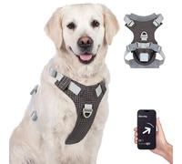 TagME Light Up Dog Harness with Airtag Holder, No Pull Rechargeable LED Dog Harness, 4 Lighting Modes for Night Safety Walking, Adjustable Slide Strips for Extra Large Pets, Dark Gray
