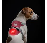 TagME Light Up Dog Harness with Airtag Holder, No Pull Rechargeable LED Dog Harness, 4 Lighting Modes for Night Safety Walking, Adjustable Slide Strips for Puppy, Melon Red