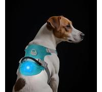 TagME Light Up Dog Harness with Airtag Holder, No Pull Rechargeable LED Dog Harness, 4 Lighting Modes for Night Safety Walking, Adjustable Slide Strips for Small Pets, Teal