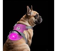 TagME Light Up Dog Harness with Airtag Holder, No Pull Rechargeable LED Dog Harness, 4 Lighting Modes for Night Safety Walking, Adjustable Slide Strips for Medium Pets, Fuchsia Pink