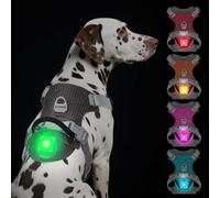 TagME Light Up Dog Harness with Airtag Holder, No Pull Rechargeable LED Dog Harness, 4 Lighting Modes for Night Safety Walking, Adjustable Slide Strips for Large Pets, Dark Gray