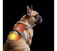 TagME Light Up Dog Harness with Airtag Holder, No Pull Rechargeable LED Dog Harness, 4 Lighting Modes for Night Safety Walking, Adjustable Slide Strips for Medium Pets, Flare Orange