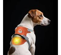 TagME Light Up Dog Harness with Airtag Holder, No Pull Rechargeable LED Dog Harness, 4 Lighting Modes for Night Safety Walking, Adjustable Slide Strips for Puppy, Flare Orange