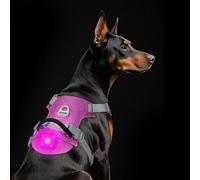 TagME Light Up Dog Harness with Airtag Holder, No Pull Rechargeable LED Dog Harness, 4 Lighting Modes for Night Safety Walking, Adjustable Slide Strips for Extra Large Pets, Fuchsia Pink