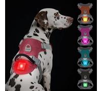 TagME Light Up Dog Harness with Airtag Holder, No Pull Rechargeable LED Dog Harness, 4 Lighting Modes for Night Safety Walking, Adjustable Slide Strips for Large Pets, Melon Red