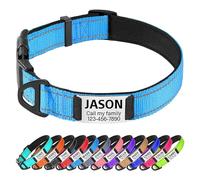 TagME Personalised Dog Collar Reflective Padded Collar for Large and Extra Large Dogs with Custom Engraved Slide On Name Plate,Baby Blue L