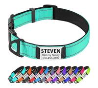 TagME Personalised Dog Collar Reflective Padded Collar for Large and Extra Large Dogs with Custom Engraved Slide On Name Plate,Teal L