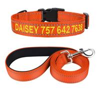 TagME Personalized Dog Collar and Leash Set, Reflective Embroidered Pet Collar with Name for Large Dogs, Orange