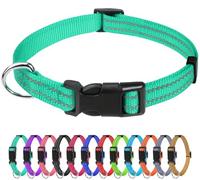 TagMe Reflective Nylon Dog Collars, Adjustable Classic Pet Collar with Quick Release Buckle for Puppy, Turquoise, 1.0 cm Width
