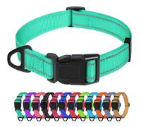 TagMe Reflective Nylon Dog Collars, Adjustable Classic Pet Collar with Quick Release Buckle for Small Dogs, Turquoise, 2.0 cm Width
