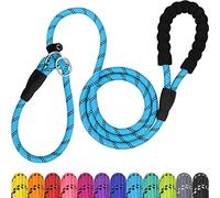 TagME Slip Lead for Dogs,1.8m Reflective Dog Lead with Soft Padded Handle, Slip-On Training Leash for Large Pet, Blue