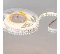 Tagra Syndeo 12V 48W Warm White 120 LED Tape - 5 Metre