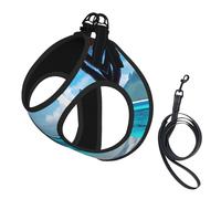 Tahiti Beach Print Dog Harness with Leash Set with Thickened Padded Vest for Extra-Small/Small Medium Dogs