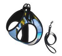 Tahiti Beaches Print Soft Mesh Dog Harness and Leash Set Pet Puppy Cat Comfort Padded Vest No Pull Harnesses