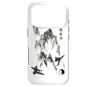 Tai Chi Calligraphy/Taiji Chuan Chinese Mountain Design Case for iPhone 17 Pro
