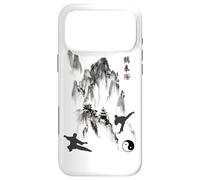 Tai Chi Calligraphy/Taiji Chuan Chinese Mountain Design Case for iPhone 17 Pro Max