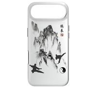 Tai Chi Calligraphy/Taiji Chuan Chinese Mountain Design Case for iPhone Air