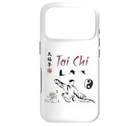 Tai Chi Calligraphy/Taiji Classical Chinese Art Design Case for iPhone 17 Pro