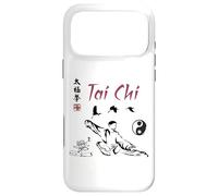 Tai Chi Calligraphy/Taiji Classical Chinese Art Design Case for iPhone 17 Pro Max